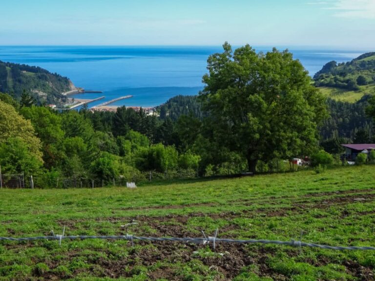 Descubre las maravillas de la Comarca de Debabarrena en el País Vasco