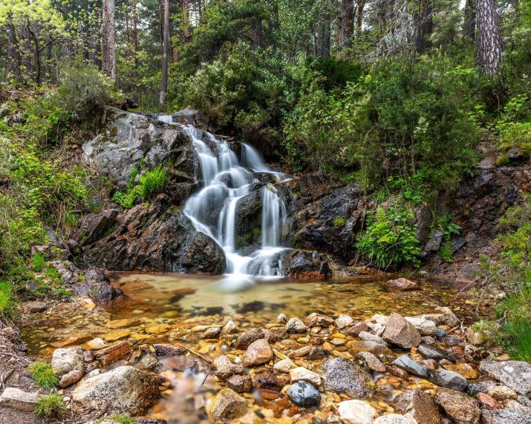 Descubre las maravillas naturales y actividades emocionantes en Cercedilla.