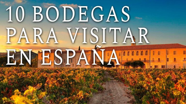 Descubre las mejores bodegas de España para disfrutar del vino.