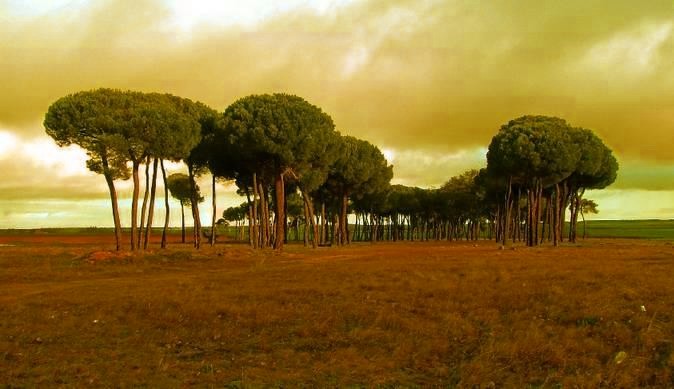 Descubre los rincones más pintorescos y tradicionales de la Armuña.