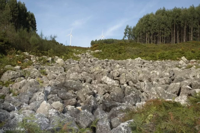 Descubre los tesoros naturales y culturales de la Comarca de Meira.