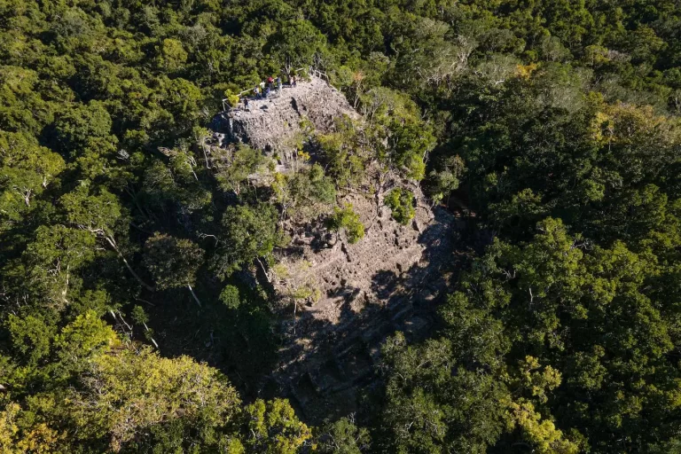 Descubre los tesoros naturales y culturales de la Comarca de Selva.