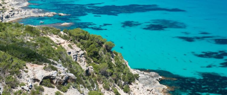 Explora la belleza natural de Formentera a través de sus rutas verdes.