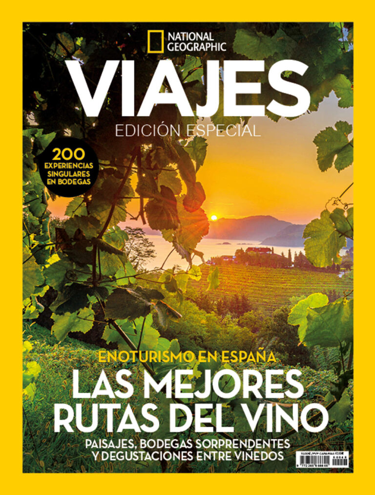 Explora las mejores rutas del vino en bodegas para visitar.