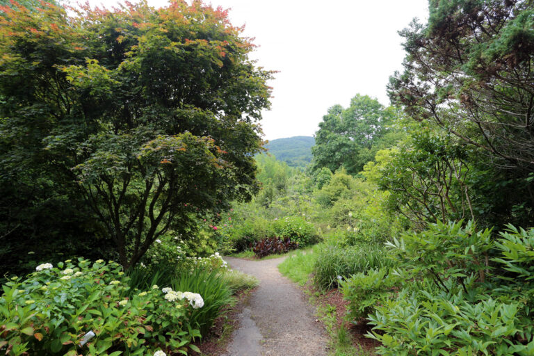 Explorando la belleza natural del Parque Natural de Pagoeta