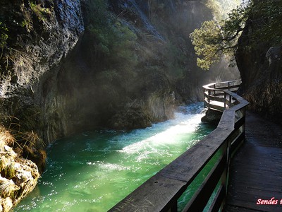 Explorando la belleza natural del sendero de la Cerrada de Elías.