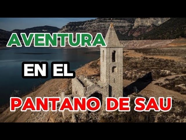 Explorando la naturaleza salvaje: Un día en el Pantano de Sau.