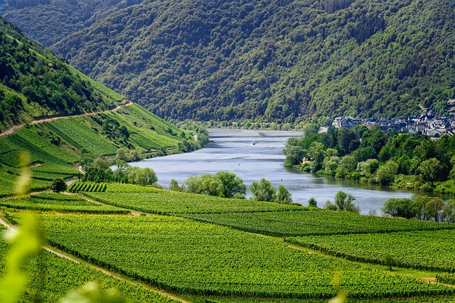 Explorando los tesoros naturales y culturales de Asturias.