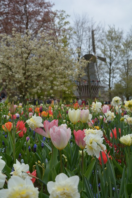 Descubre las maravillas culturales y naturales del País Vasco.