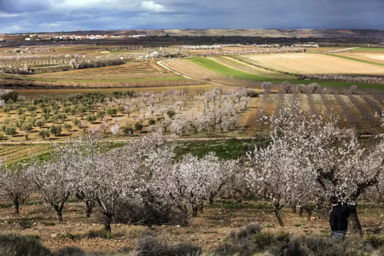La belleza de la primavera se despliega en La Rioja