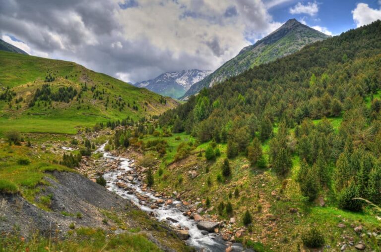 Los mejores lugares en España para disfrutar de abetos majestuosos.