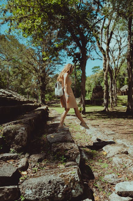 Maravillas naturales y aventuras inolvidables en los Picos de Europa.