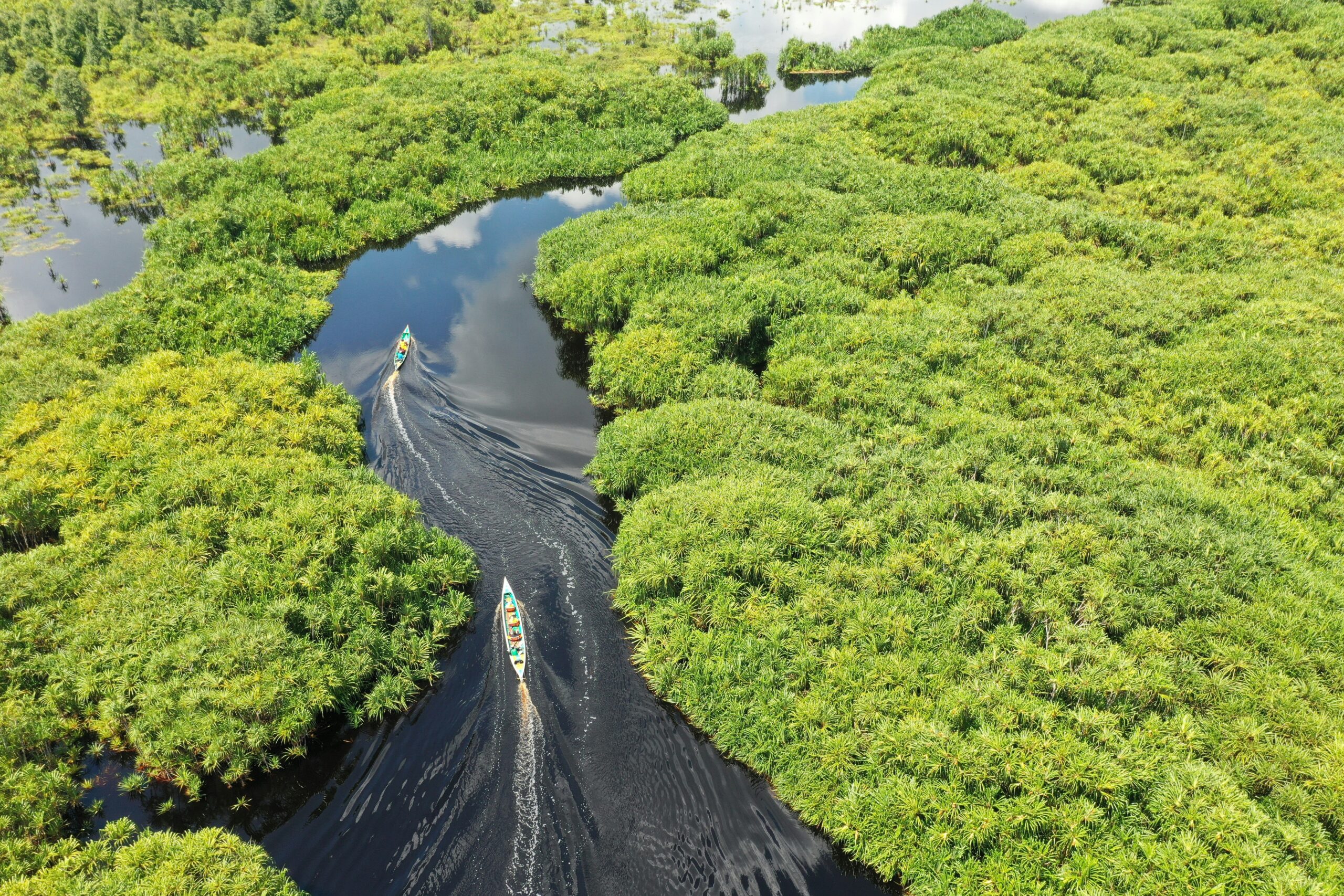 La riqueza natural de la biodiversidad en la región de Andalucía.
