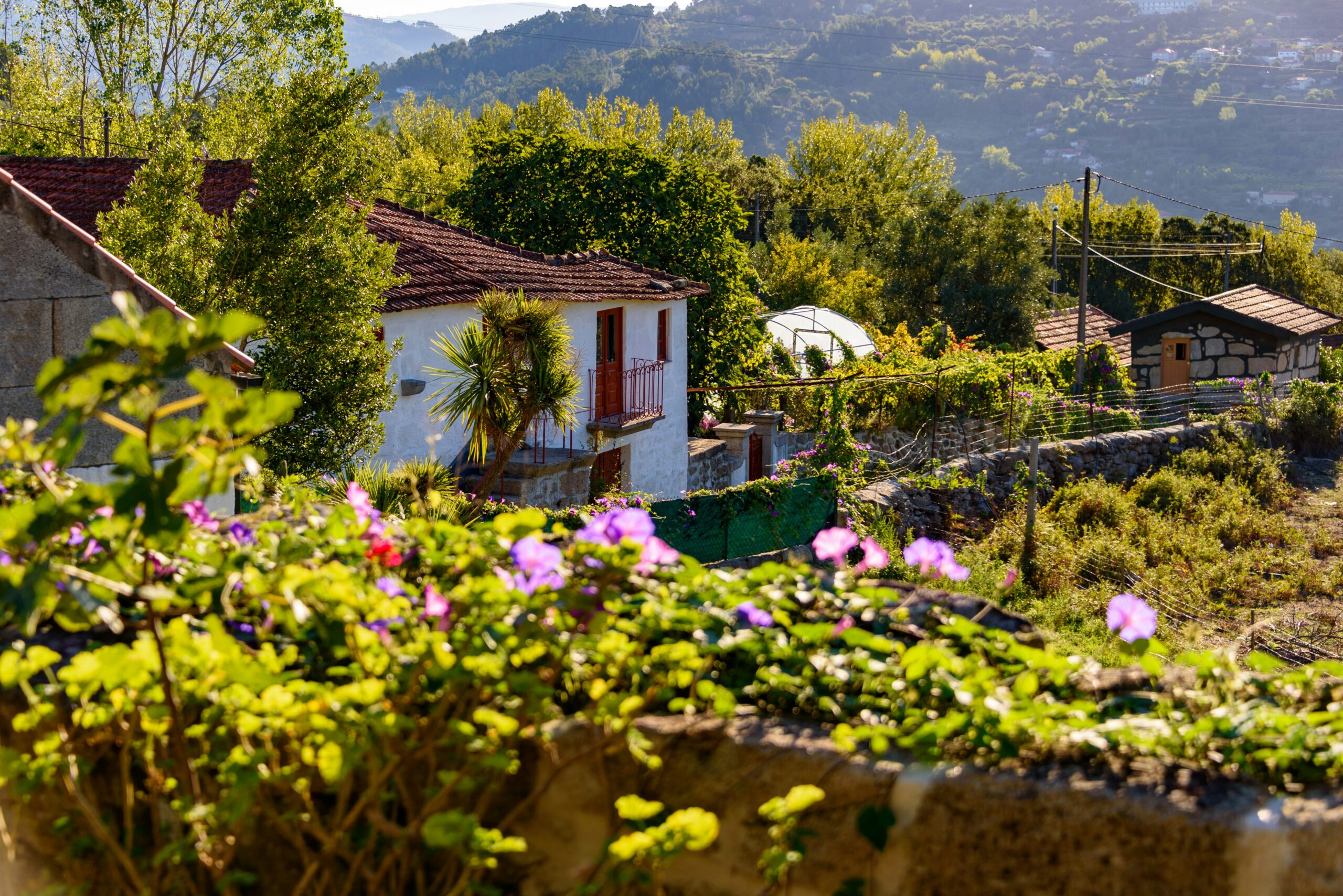 Descubre la belleza y tranquilidad del turismo rural en España