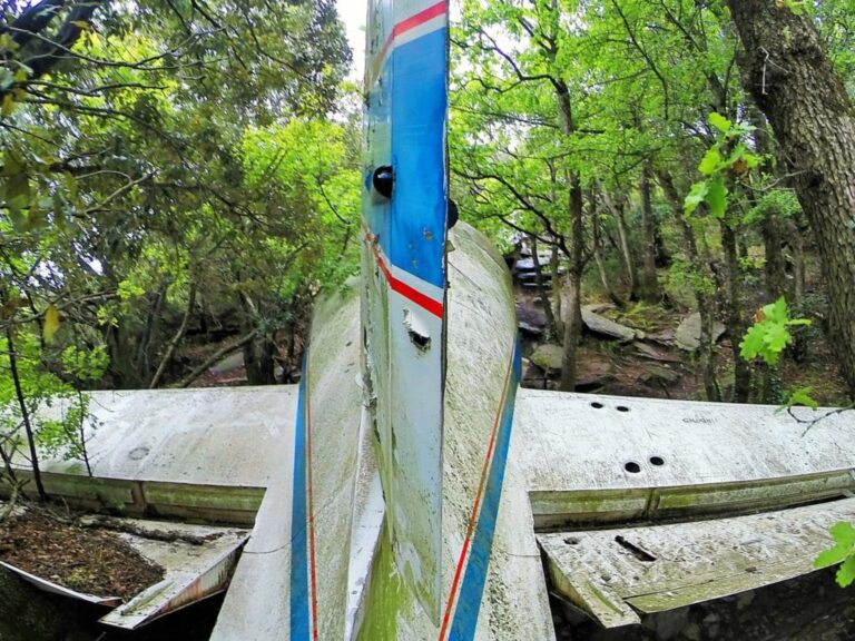 Tragedia en los cielos: Avión estrellado en Requesens, España.