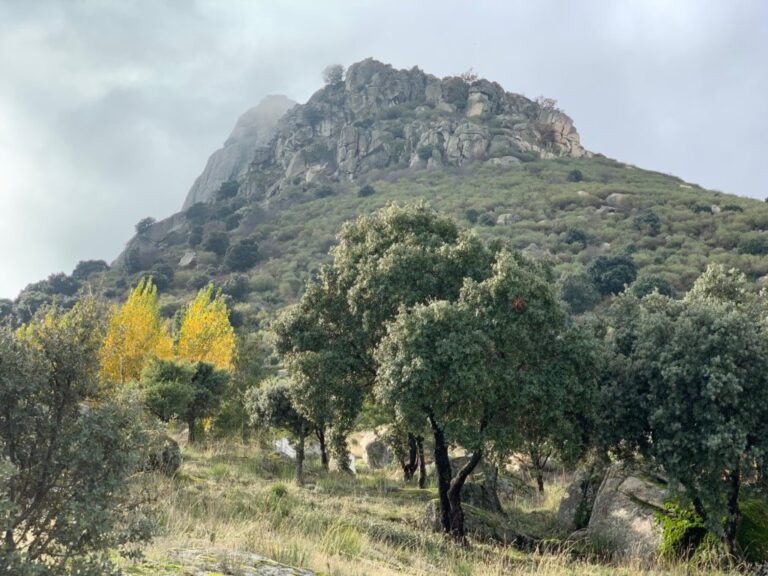 Una aventura inolvidable en la Subida al Pico de la Miel.